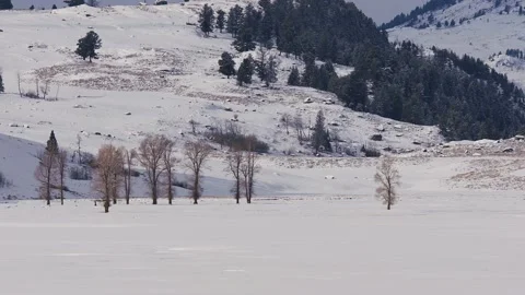 Snowy Yellowstone Landscape Stock-Footage 202095903