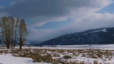 Snowy Yellowstone Landscape Stock-Footage 202096428