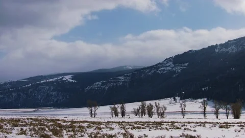 Snowy Yellowstone Landscape Stock-Footage 202096458