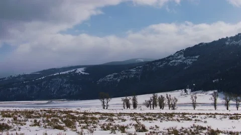 Snowy Yellowstone Landscape Stock-Footage 202096993