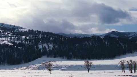 Snowy Yellowstone Landscape Stock-Footage 202097455