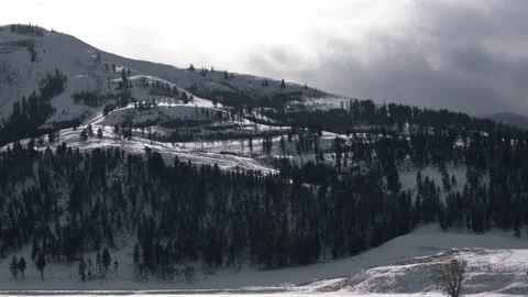 Snowy Yellowstone Landscape Stock-Footage 202097487