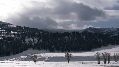 Snowy Yellowstone Landscape Stock-Footage 202097496