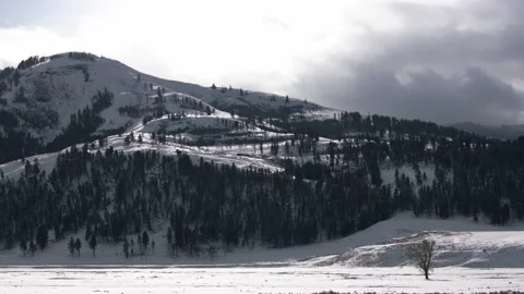 Snowy Yellowstone Landscape Stock-Footage 202097593