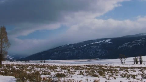 Snowy Yellowstone Landscape Stock-Footage 202097637