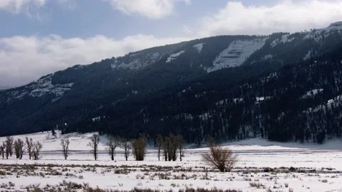 Snowy Yellowstone Landscape Stock-Footage 202105836