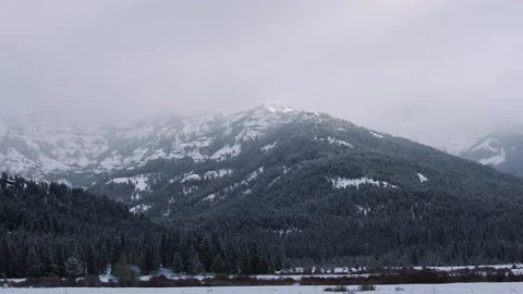 Snowy Yellowstone Landscape Stock-Footage 202105880