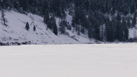 Snowy Yellowstone Landscape Stock-Footage 202106472