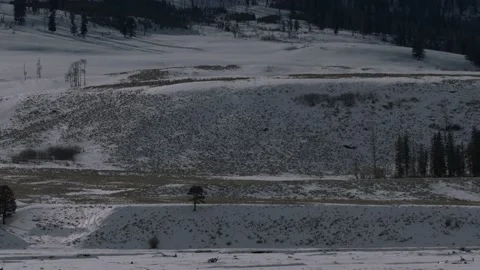 Snowy Yellowstone Landscape Stock-Footage 202106473