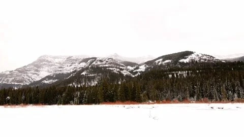 Snowy Yellowstone Landscape Stock-Footage 202107199