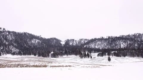 Snowy Yellowstone Landscape Stock-Footage 202107261