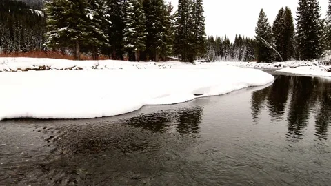 Snowy Yellowstone Landscape Stock-Footage 202107536