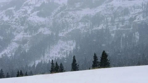 Snowy Yellowstone Landscape Stock-Footage 202108246