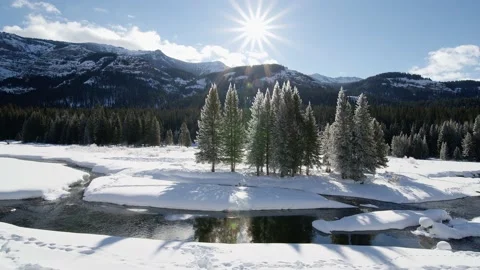 Snowy Yellowstone Landscape Stock-Footage 202108652