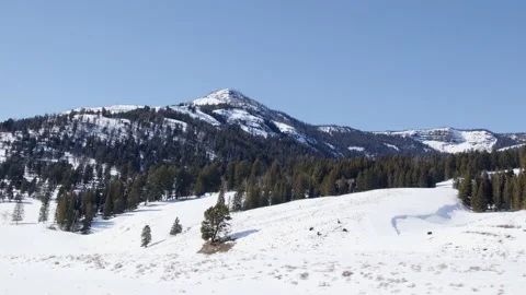 Snowy Yellowstone Landscape Stock-Footage 202108727