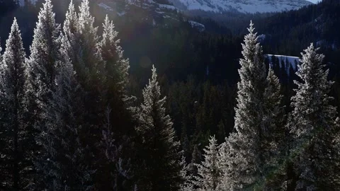 Snowy Yellowstone Landscape Stock-Footage 202108729