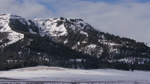 Snowy Yellowstone Landscape Stock-Footage 202109708