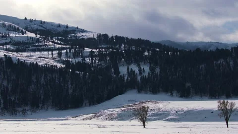 Snowy Yellowstone Landscape Stock-Footage 202109919