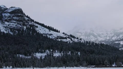 Snowy Yellowstone Landscape Stock-Footage 202109934
