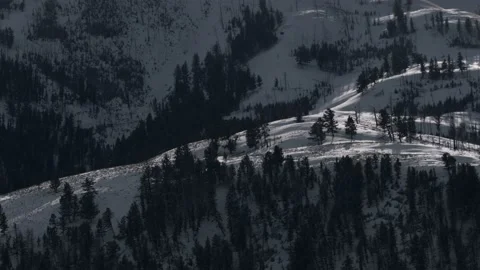 Snowy Yellowstone Landscape Stock-Footage 202109936