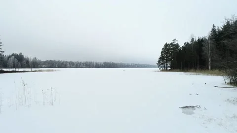 Snowylakedolly Stock Footage 169690271