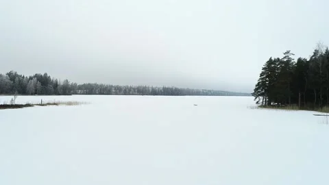 Snowylakedolly3 Stock Footage 169690278