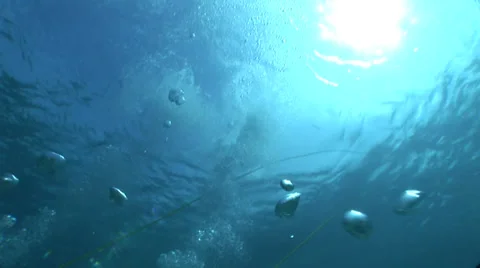 Snuba Light Rays Through Water Stock Footage 36371012