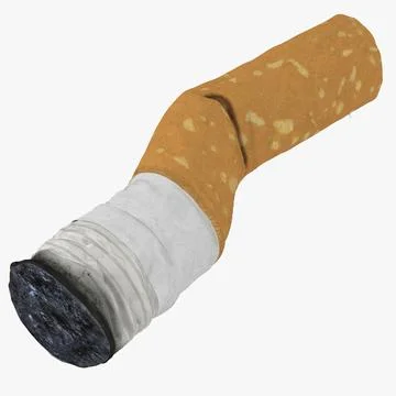3D Model: Snuffed Cigarette 2 ~ Buy Now #90656811 | Pond5