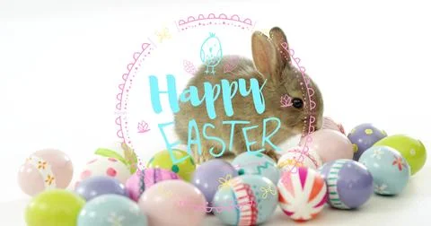 Snuggling brown rabbit among pastel eggs on white studio backdrop, Happy Easter Stock Photos