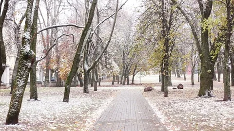 Snw falling in the park Stock Footage 70133234