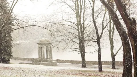 Snw falling in the park Stock Footage 70135955