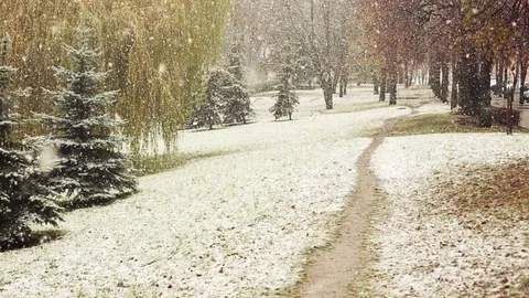 Snw falling in the park Stock Footage 70306616