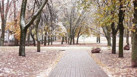 Snw falling in the park Stock Footage 70803417