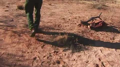 So. AZ. Ranch Security Tracks Illegal Aliens 스톡 동영상 217397931