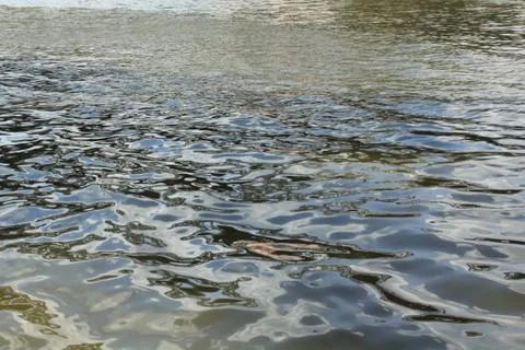 So different and unusual patterns on the water Stock Photos
