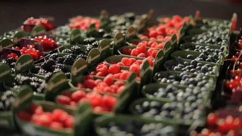 So Many Berries Nice Camera Pan 動画素材 99163850