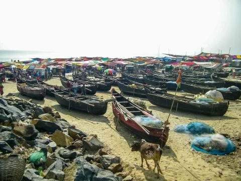 So many boats Stock Photos