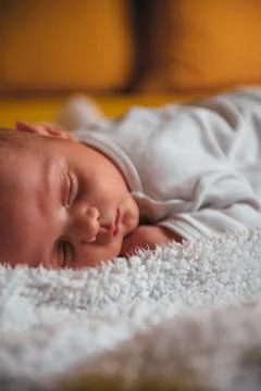 So much cuteness! Stock Photos