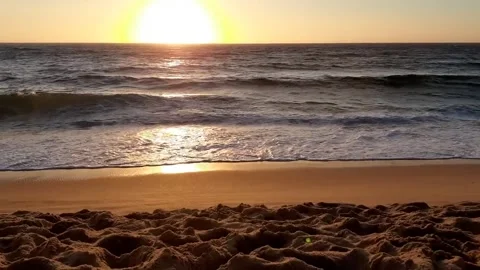 So Natural Stock Footage 259920836