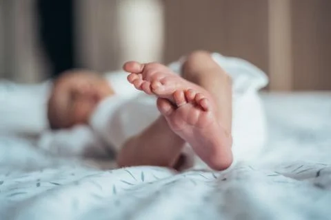 So small and delicate... Stock Photos