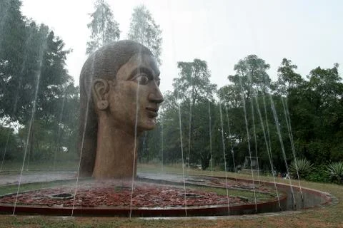 Soaked by Sprinkle Stock Photos