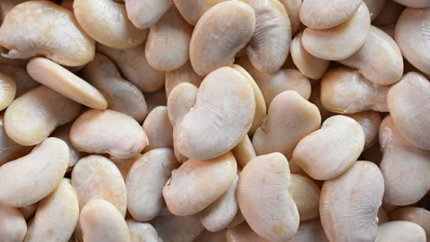 Soaked white raw Butter bean Stock Footage 152199403