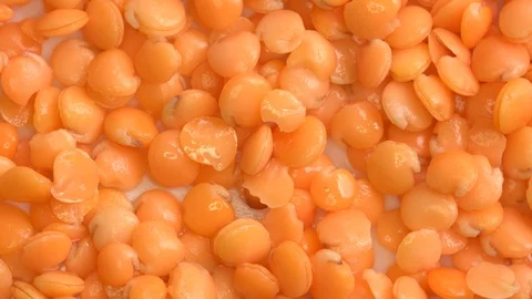 Soaking and sprouting beans and legumes Stock Footage 116942970
