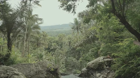 Soaking Natural Forest Rock Pool Jacuzzi Gembleng Waterfall Bali Slow Motion Stock Footage 204055203