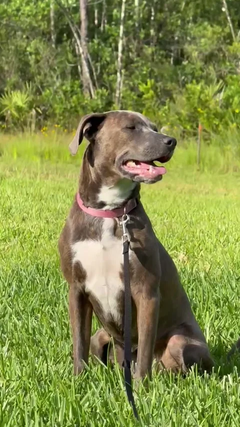 Soaking Up the Sun Stock Footage 313292178