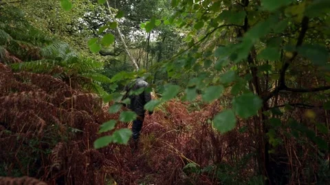 Soaking Wet Man Walking Through a Rainy Woodland Vidéo 296877467