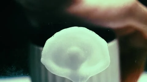 Soap Bottle is Pressed and it Splatters on Lens Stock Footage 300892453