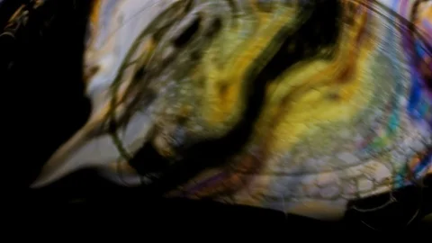 Soap Bubble Creative Color Patterns 動画素材 125491115