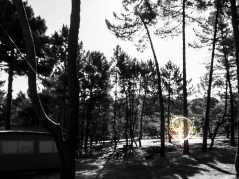 Soap Bubble dark Stock Photos