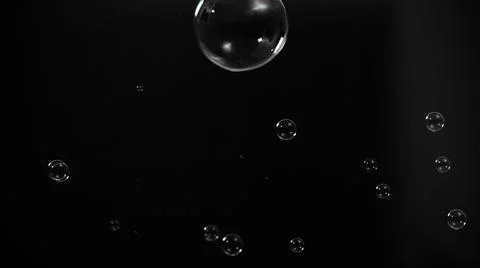 Soap bubble drop or Shampoo bubbles floating like flying in the air Stock Photos